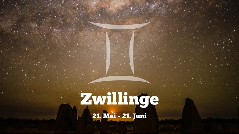 Zwillinge