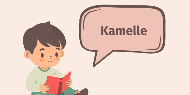 Wort des Tages "Kamelle": Was das süße Wort bedeutet und woher es kommt