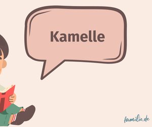 Wort des Tages "Kamelle": Was das süße Wort bedeutet und woher es kommt