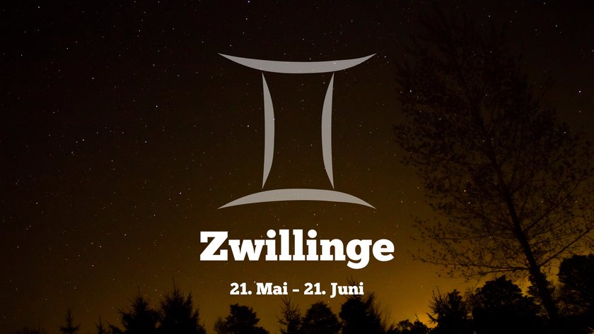 Zwillinge