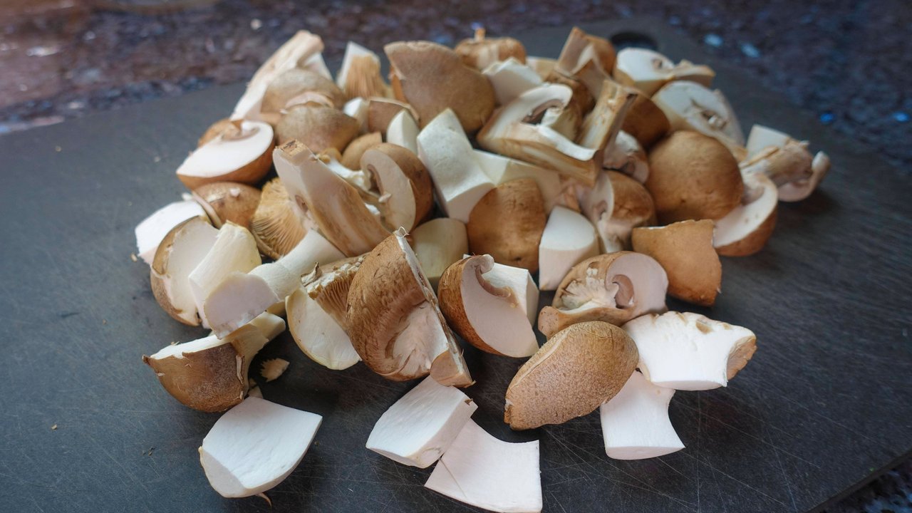 Geschnittene Kräuterseitlinge