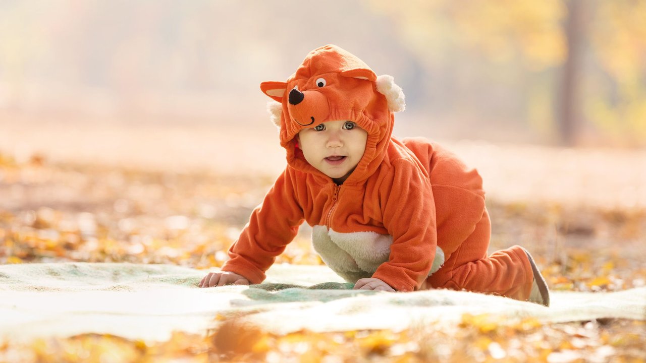 Baby-Kostüm: Baby als Fuchs verkleidet zu Halloween