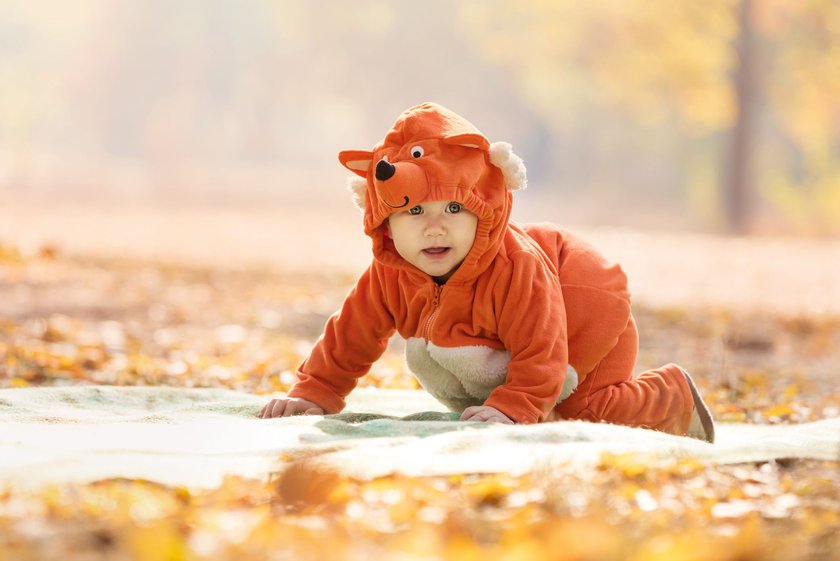 Baby-Kostüm: Baby als Fuchs verkleidet zu Halloween