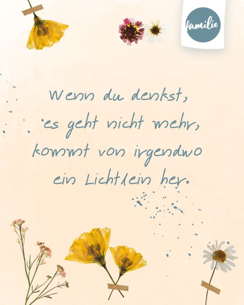 Poesiealbum Sprüche: Lichtlein