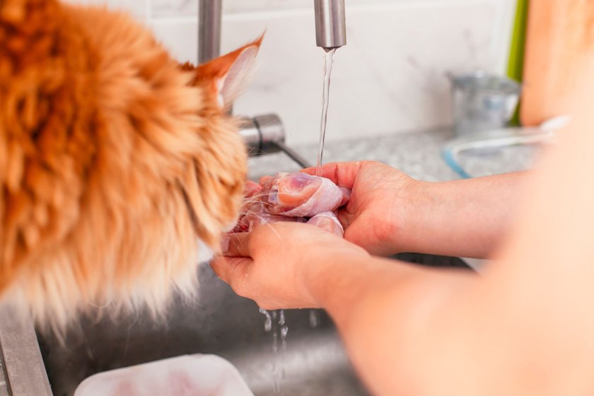 Hühnchen sollte für die Zubereitung für Katzen vor dem Kochen gewaschen werden.