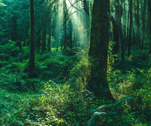 Für magische Herbstabende: Diese Fantasy-Bücher sind perfekt alle, die für Game of Thrones lieben