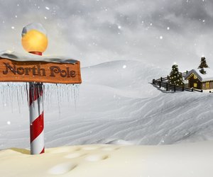 Norbert zieht an den Nordpol (ab 3 Jahre)