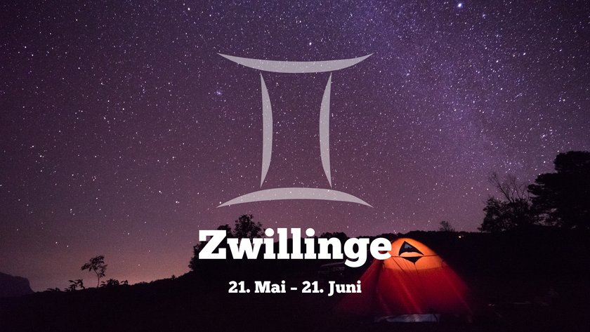 Zwillinge