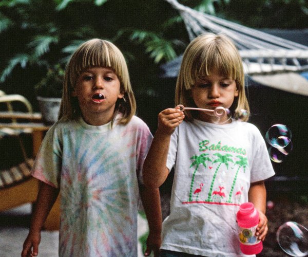 In Welchen Müll Kommt Holz In welchen Müll kommt Holz? Darauf solltest du achten