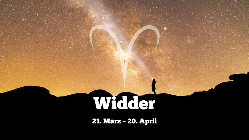 Widder