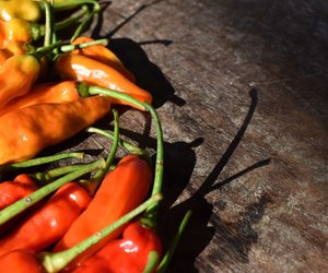 Peperoni einfrieren: So behalten die Schoten ihre Schärfe