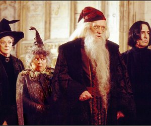 Welcher "Harry Potter"-Lehrer wärst du?