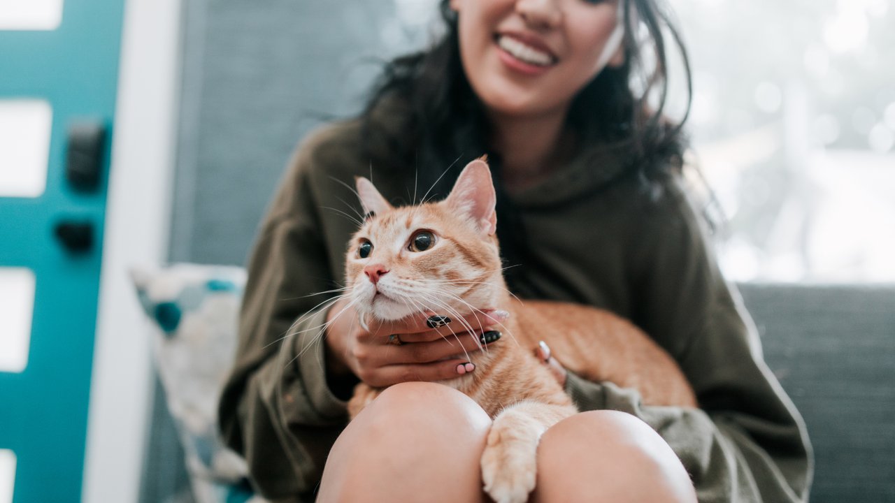 A Vietnamese woman relaxes at home with her cute cat, enjoying a stress free weekend off.