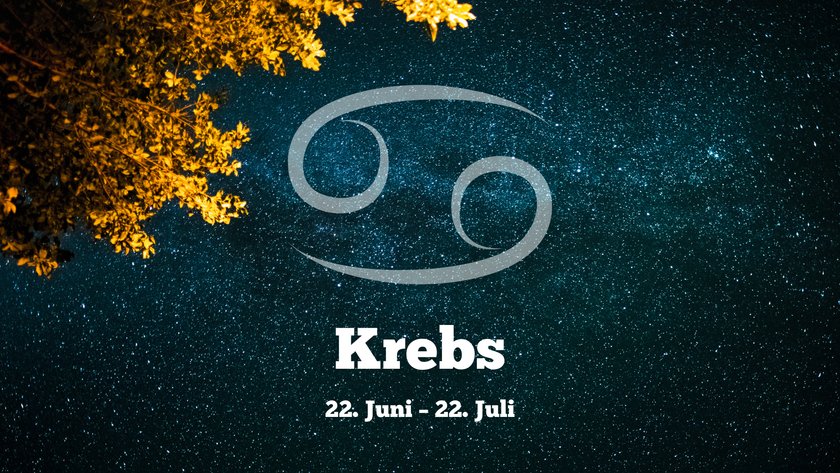 Krebs