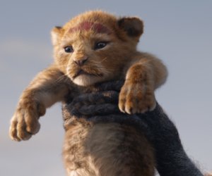 Neuer "König der Löwen"-Film angekündigt: Darum soll's gehen!