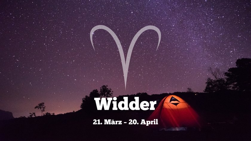 Widder