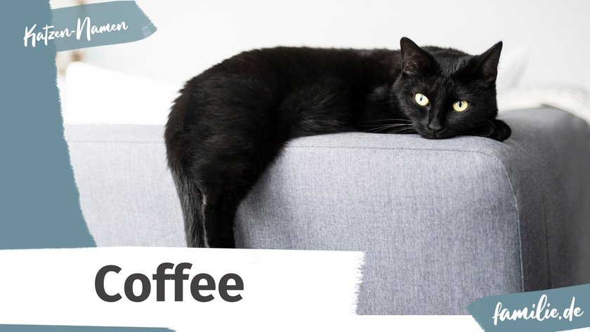 Schwarze Katze Namen: Coffee