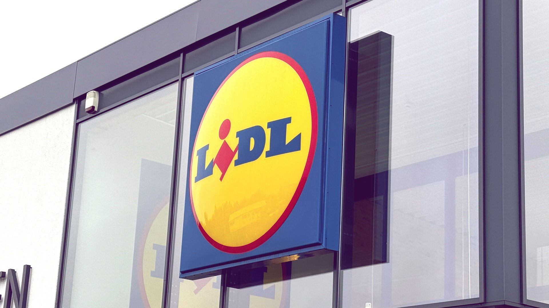 Jetzt bei Lidl Dieses stylishe Hochbeet mit ExtraFunktion ist schnell
