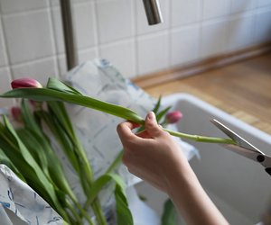 Diese tollen Tipps halten den Tulpenstrauß in der Vase viel länger frisch