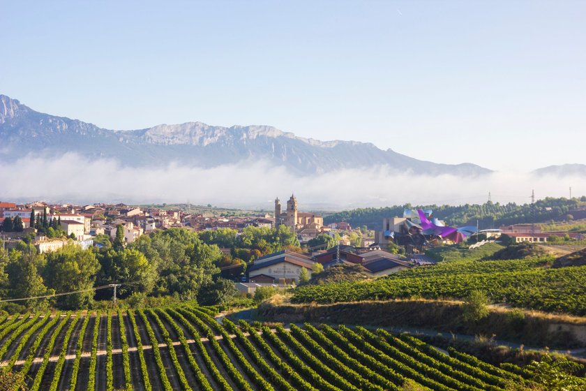 Weinanbaugebiet in der Region La Rioja