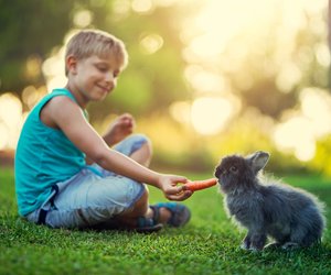 Snacks für Kaninchen: Über diese Sachen freuen sich die süßen Tiere besonders