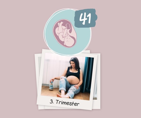 Ab Wann Erfährt Man Das Geschlecht Des Babys Ab wann lässt sich das Geschlecht des Babys bestimmen?