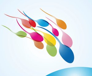 Wie lange überleben Spermien?