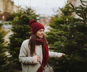 Weihnachtsbaum mieten: Diese Möglichkeiten gibt's (plus weitere Baum-Alternativen)