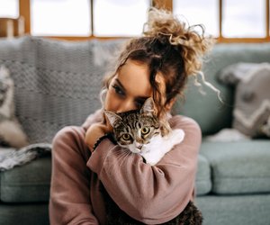 Zeigt&#x20;deine&#x20;Katze&#x20;im&#x20;Winter&#x20;mehr&#x20;Zuneigung&#x3F;&#x20;Das&#x20;steckt&#x20;dahinter