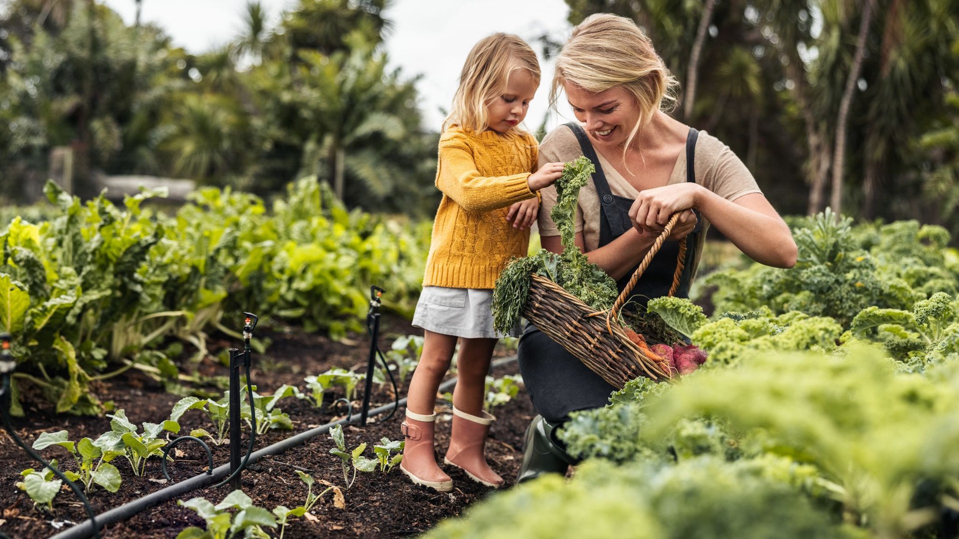 Für grüne Daumen Intelligente Alltagshelfer für das Gärtnern im Frühling