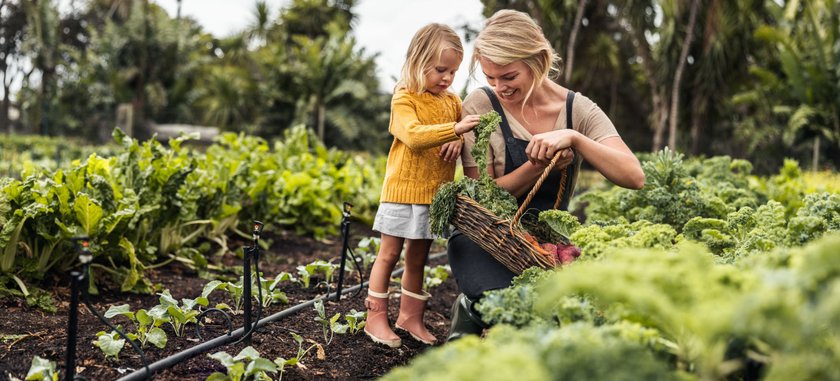 Smiling young mother gathering fresh kale with her daughter. Happy single mother picking fresh vegetables from an organic garden. Self-sustainable family harvesting fresh produce on their farm.