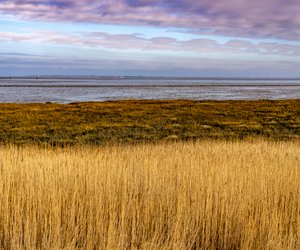 Nur echte Küsten-Experten bestehen dieses Schleswig-Holstein-Quiz!