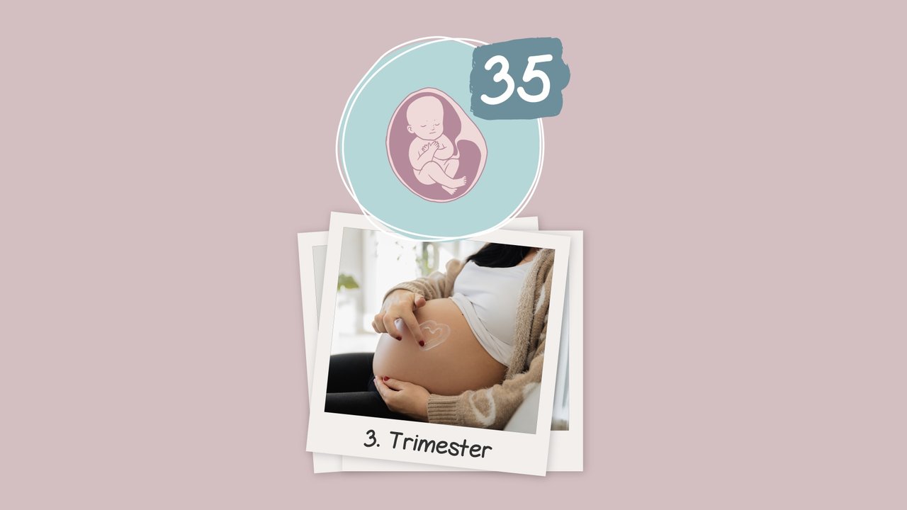 SSW 35: Alles zur 35. Schwangerschaftswoche