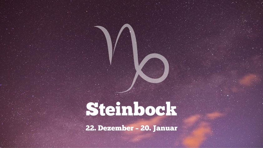 Steinbock 