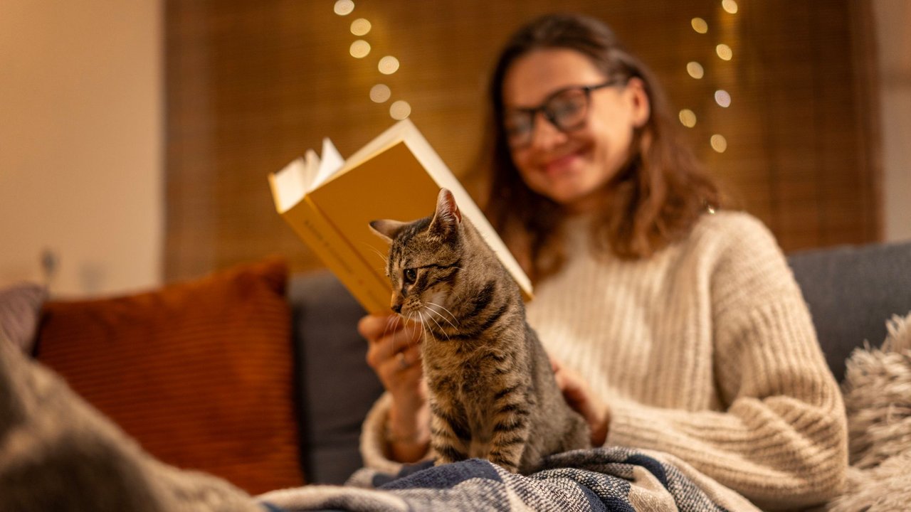 Junge Frau mit Katze sitzt lesend auf dem Sofa