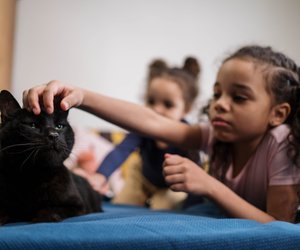 Kinderfilme mit Katzen: Abenteurer auf vier Pfoten