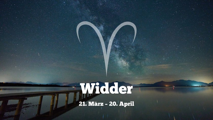 Widder