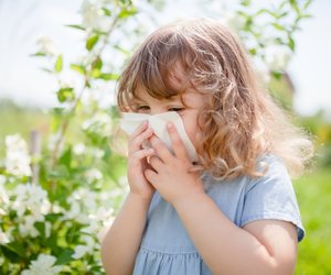 Unser Allergie-Experte verrät, was Kindern mit Heuschnupfen jetzt hilft