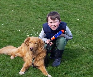 Diese zehn langfelligen Hunderassen brauchen viel Pflege