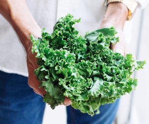 Grünkohl aufwärmen: Das solltest du beachten