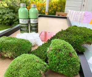 "Schnuppert nach Wald": Mit diesem coolen DIY-Set kreiert ihr eurer ganz individuelles Moosbild