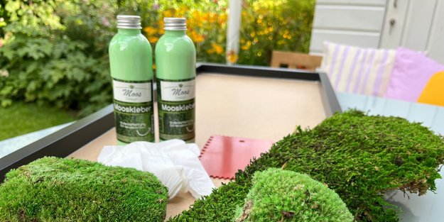 Grüner Wandschmuck, der keine Pflege braucht: In 5 Schritten zum selbstgemachten Moosbild