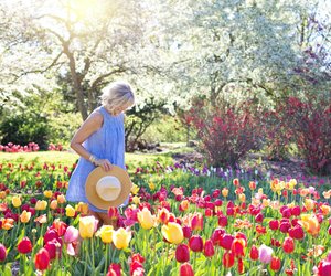 Schon entdeckt? Hol dir die Solar-Bodenlichterkette bei Rossmann für den Garten