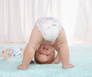 Warum ein doppelter Schutz so wichtig für eure Lieblinge ist