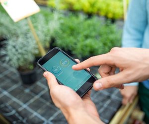 Der Garten ruft: Diese 9 smarten Gadgets erleichtern dir die Gartenarbeit