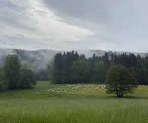 Das sind die 15 schönsten Mittelgebirge Deutschlands