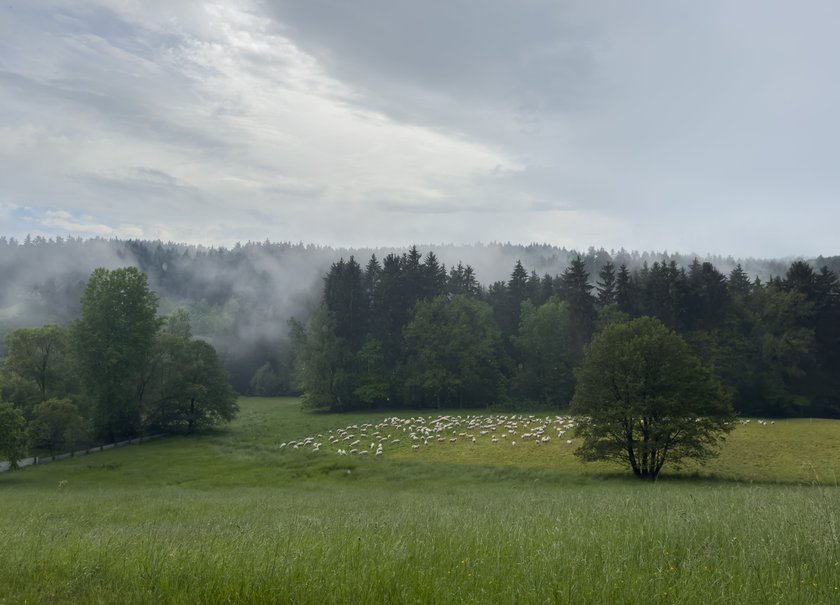 Das sind die 15 schönsten Mittelgebirge Deutschlands