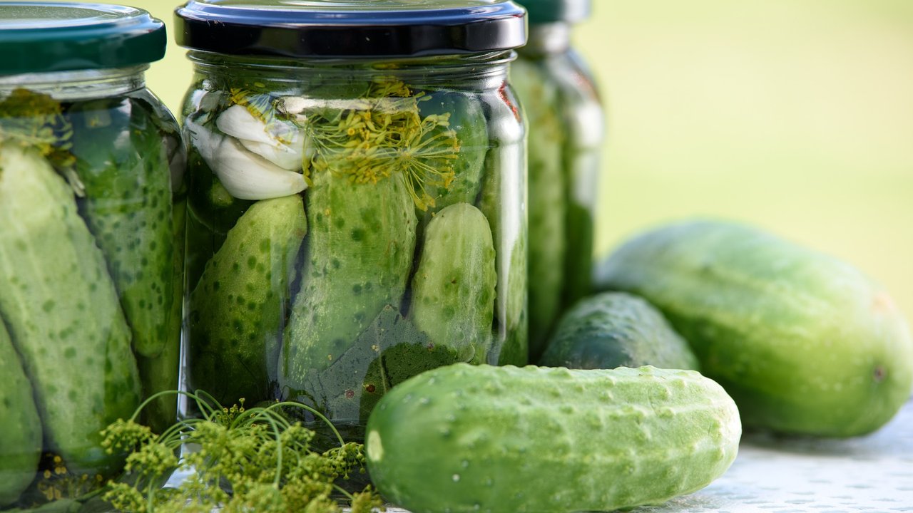 Eingelegte Gurken schmecken zu Brot, Kartoffelsalat und mehr: Besonders selbstgemacht. Wie du Gurken selbst fermentierst, verraten wir dir hier.