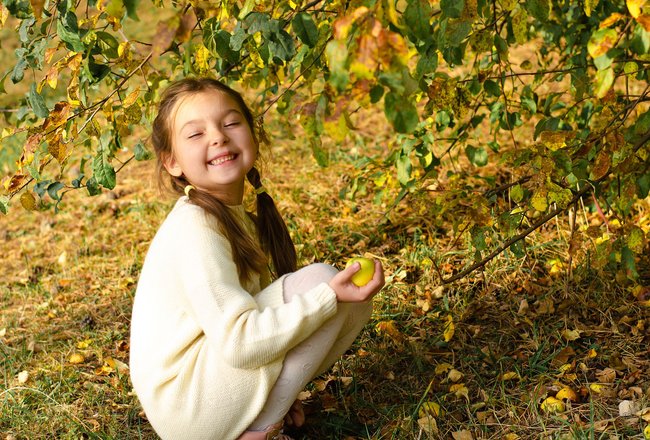 Herbst mit Kindern: Äpfel pflücken