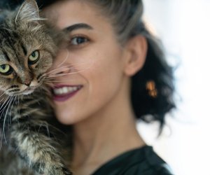 Diese 3 Katzenrassen sind besonders verschmust